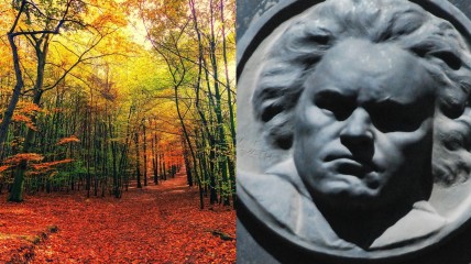 Samen muziek beleven - thema 'Natuur'
