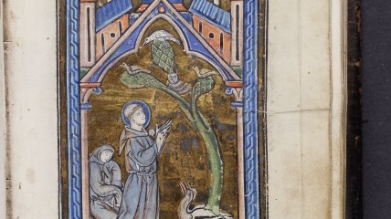 NIEUW - Menheer Armoe. Sint-Franciscus in de Lage Landen