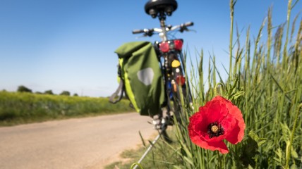 Jaarlijkse fietstocht.