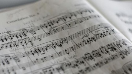 Clusters en geschreeuw. Vlaamse muziek uit heden en verleden.
