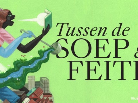 TDSF-langwerpig.jpg