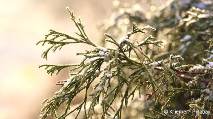 Winterwandeling