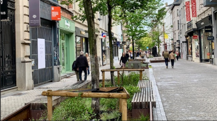 Filosofische wandeling in Antwerpen