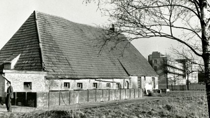 Wandeling doorheen Maria-ter-Heide